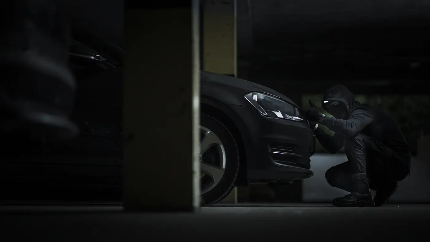 Vehicle Security Eastern Cape