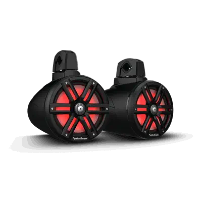 Rockford Fosgate M2WL-8B